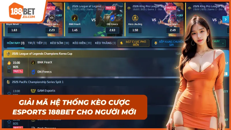 Cách đọc kèo dễ hiểu giúp tân binh bắt nhịp cực nhanh