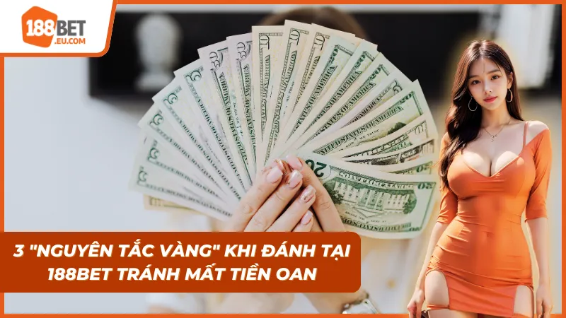 Kinh nghiệm xương máu giúp bảo toàn vốn và tối ưu lợi nhuận